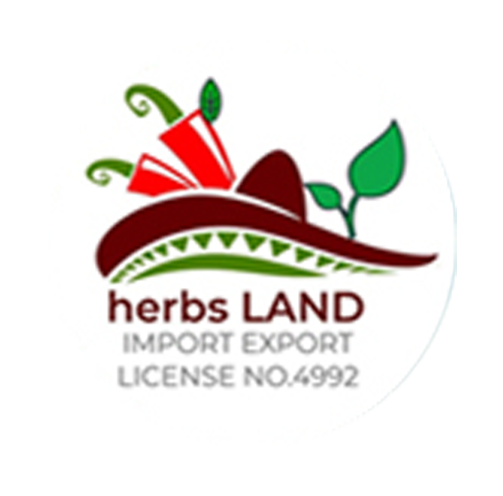 WhatsApp_Image_2024-04-30_at_1.46.40_PM-removebg-preview